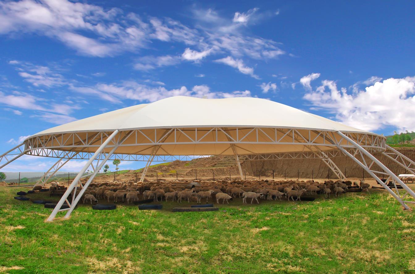 項目帶動 積蓄高質量發展“新動能”牢固樹立“項目是第一支撐”的理念，右玉縣聚焦產業轉型、基礎設施和重大民生領域，敏銳把握政策走向和投資方向，加緊謀劃、儲備一批規模大、檔次高、引領性強的大項目、好項目，形成綠色發展項目庫。