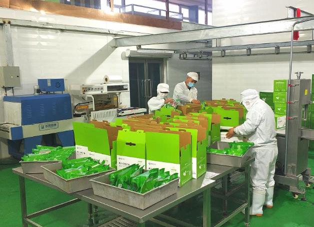 右玉縣全力打造生態羊特色專業鎮該縣打造“生產+加工+科技”的高質量發展模式，形成種養規?；?、加工集群化、科技集成化、營銷品牌化的全產業鏈開發格局，為高標準、高質量打造生態羊特色專業鎮提供有力保障。