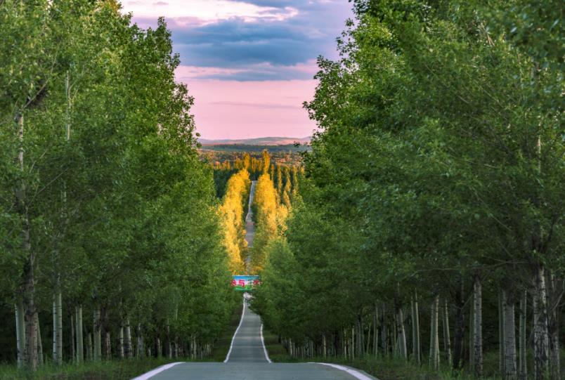 綠色是右玉最深厚的底色生態是右玉的靈魂，綠色是右玉的本色。右玉縣堅定不移保護綠水青山這個“金飯碗”，堅持山水林田湖草沙系統治理，不斷筑牢生態安全屏障，持續加大生態建設力度。