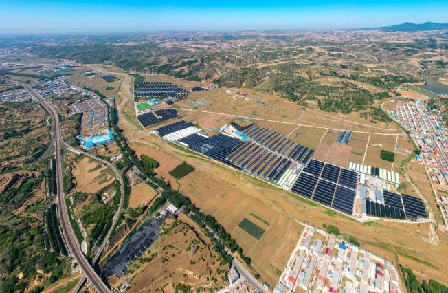 千畝棗木香菇產業興臨縣城莊鎮小馬坊村，青山綠水間，“千畝棗木香菇產業園區”里一片生產繁忙的景象。