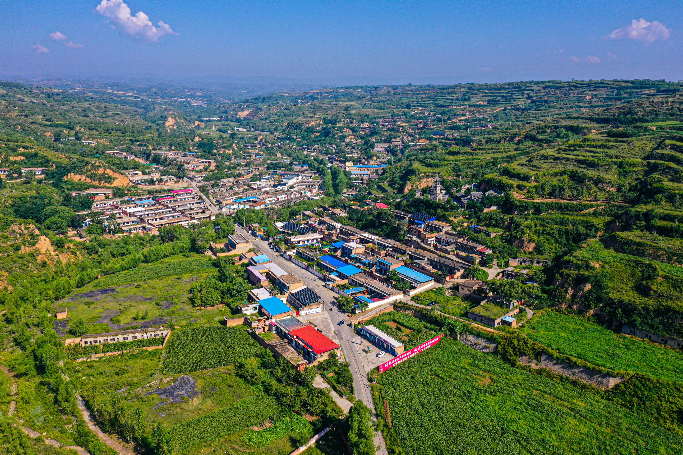 夏日里被“綠色”包裹的石莊鎮在石莊鎮，農民不僅解放了雙手，更實現了土地和務工雙重收入。