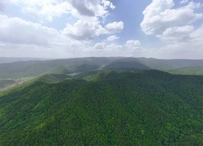 山西鐵橋山省級自然保護區。張超寧攝