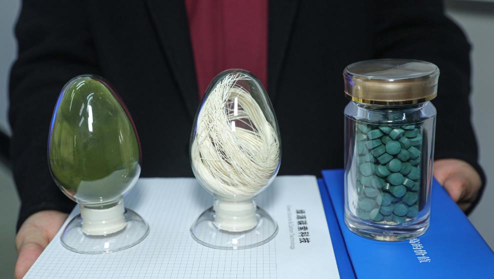 兩側分別為生物固碳技術產品——微藻藻粉和藻片，中間是二氧化碳膜捕集技術產品——膜絲。人民網記者 王帆攝