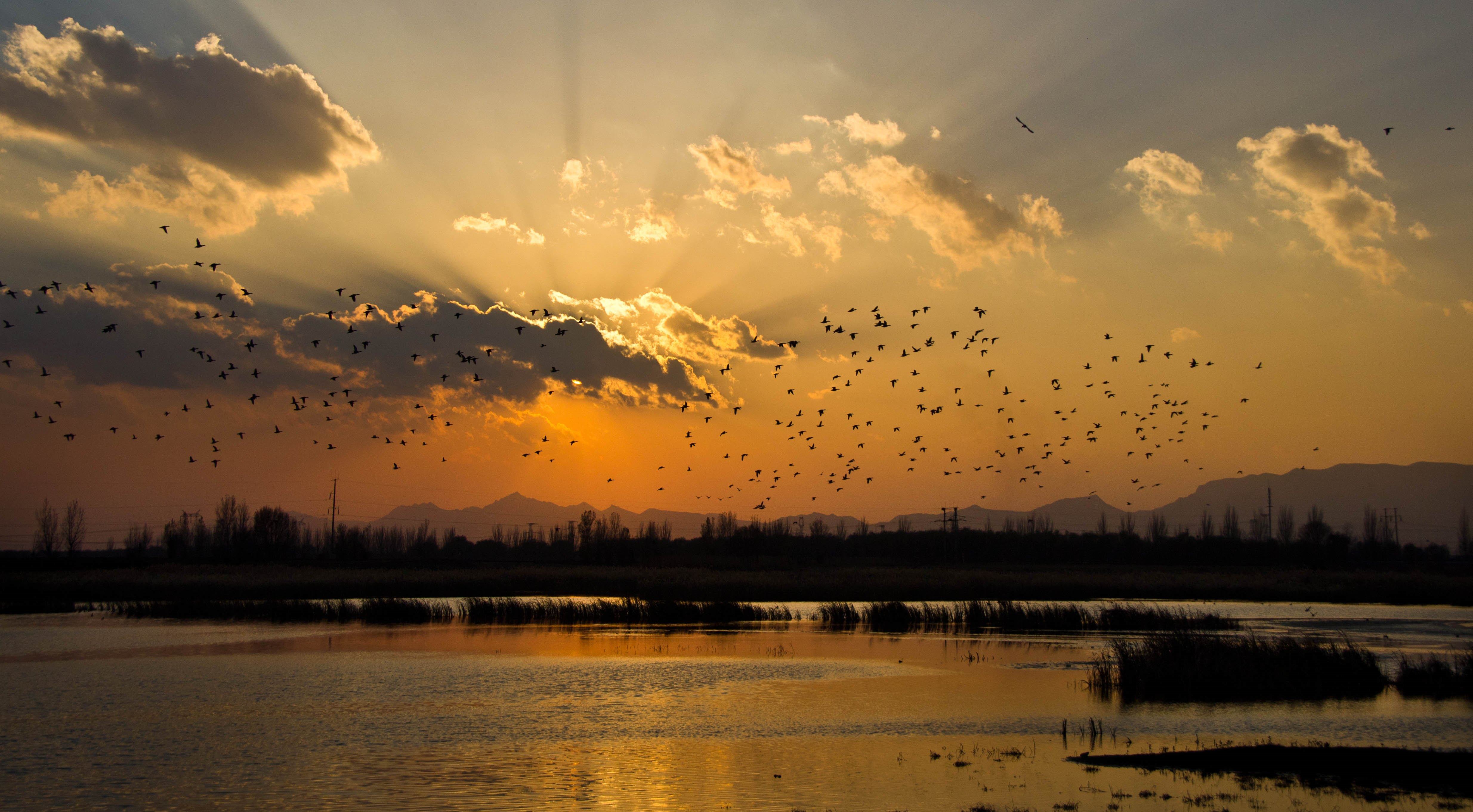  懷仁口泉河水系